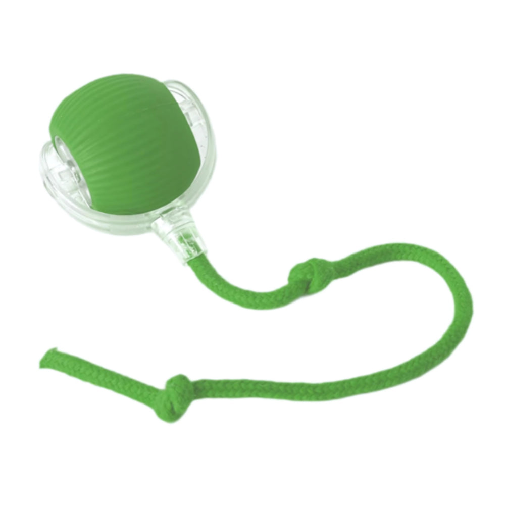 Fun Pet Interactive Chase Ball Toy