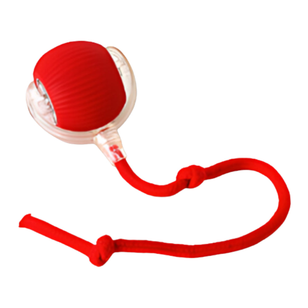 Fun Pet Interactive Chase Ball Toy