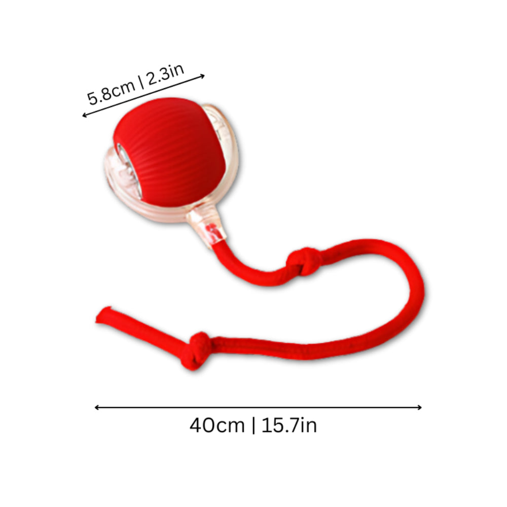 Fun Pet Interactive Chase Ball Toy