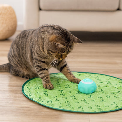 Fun Pet Playmat with Rolling Balls