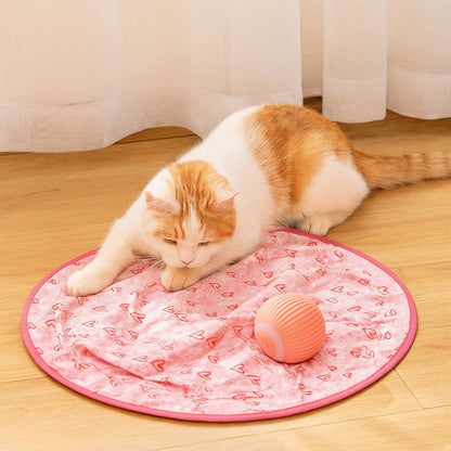 Fun Pet Playmat with Rolling Balls