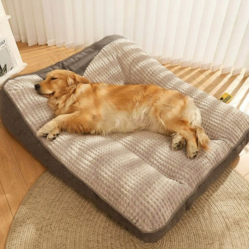 CelestialComfort | Premium Orthopedic Large Dog Bed for Spinal Support 2