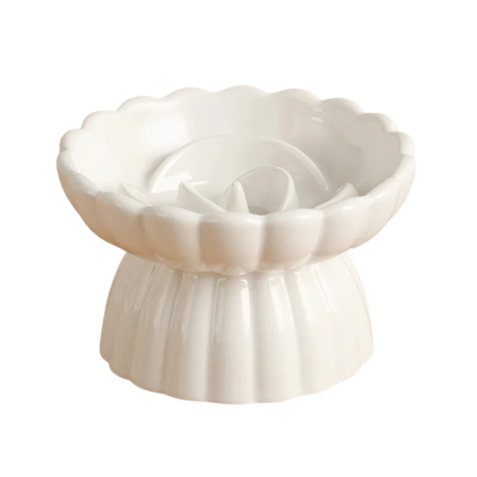 Dual Pet Feeder Bowl Set - Elevated Slow Eat Dog Cat Bowl - Lusomart