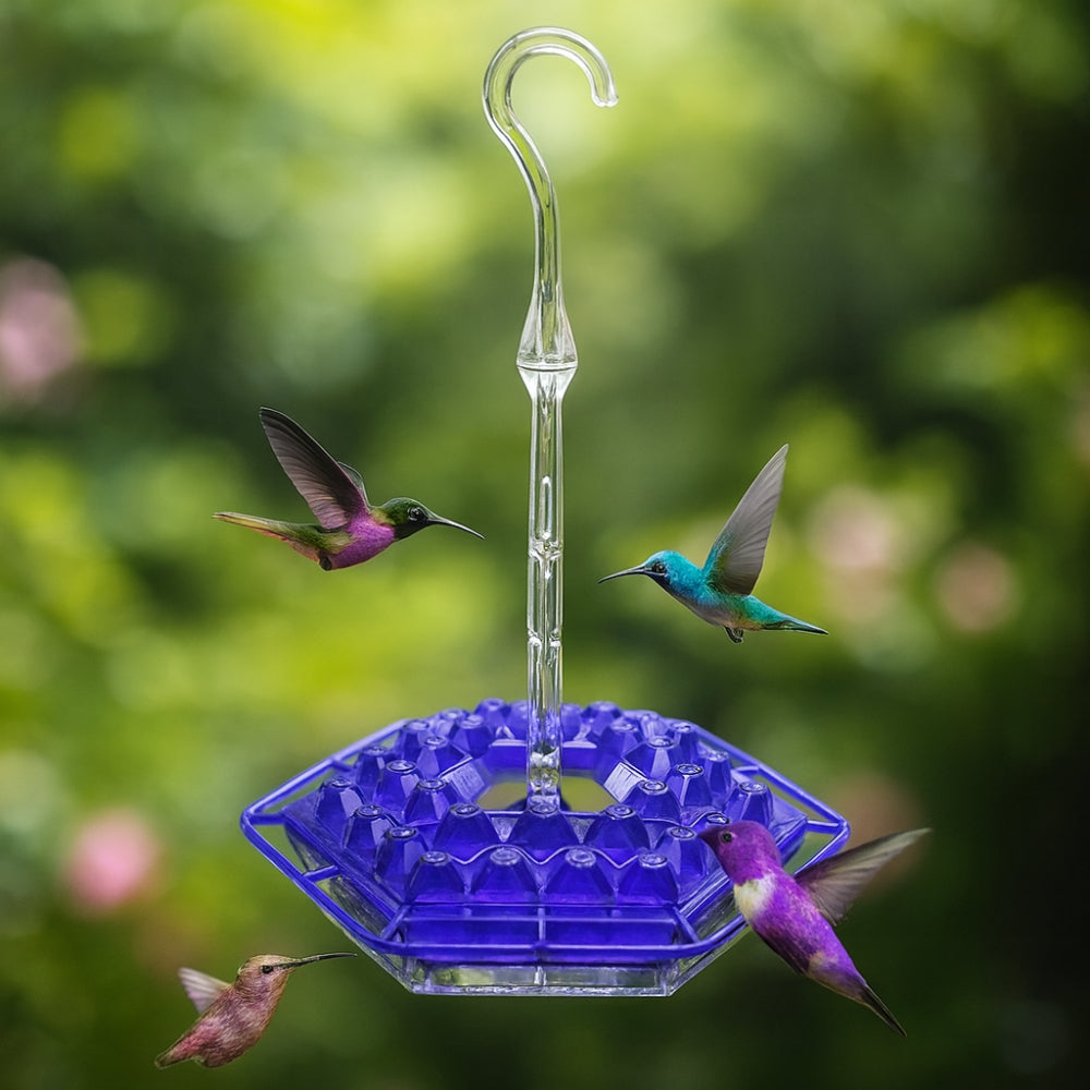Colorful Bird Feeder Hanging Nectar Station - Lusomart
