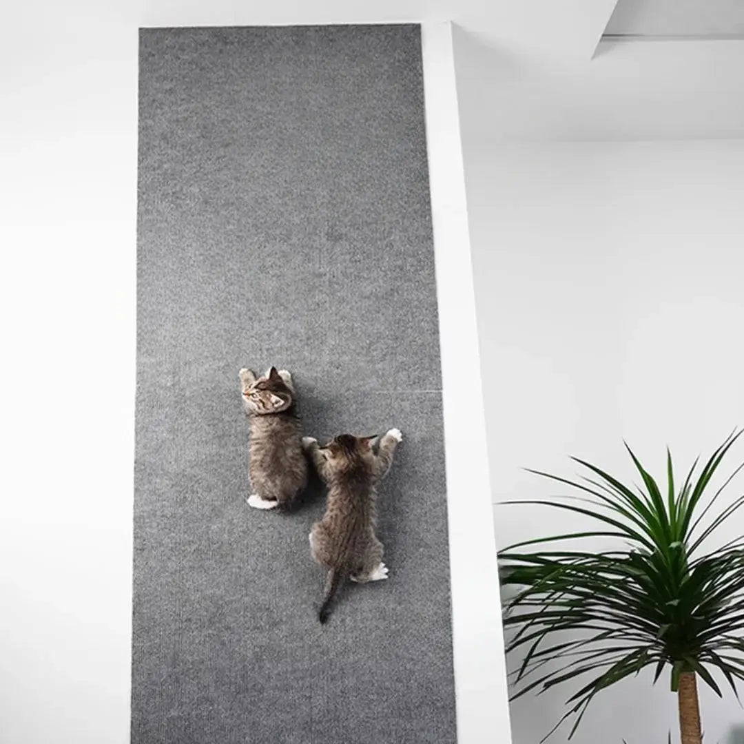Durable Pet Sofa Guard & Scratch Pad Toy - Lusomart