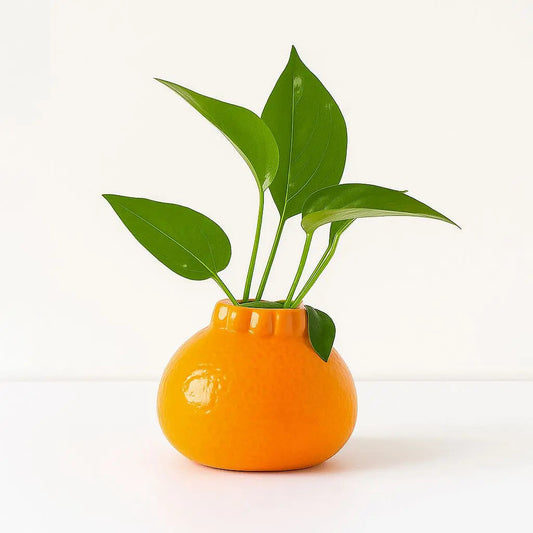 Vibrant Orange Ceramic Pot - Lusomart