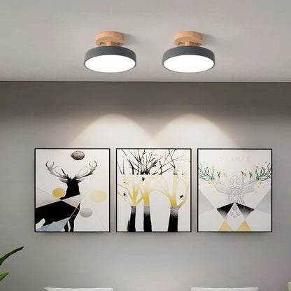 Colorful Semi-flush LED Ceiling Lights 8