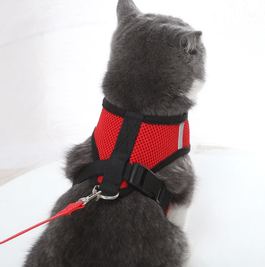 Comfortable Cat Vest Harness Leash Set - Lusomart