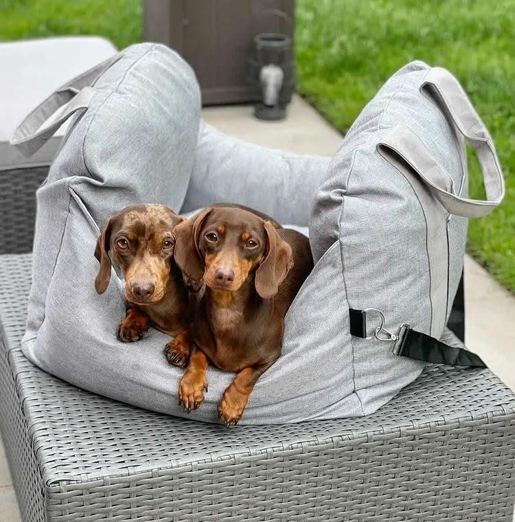 ComfyPaw | Cozy Adjustable Dog Seat Bed for Safe Travel 8