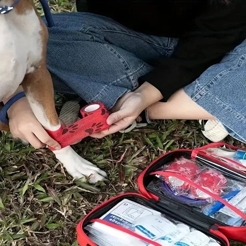 Compact First Aid Kit for Dogs and Cats – Essential Pet Care Supplies 1