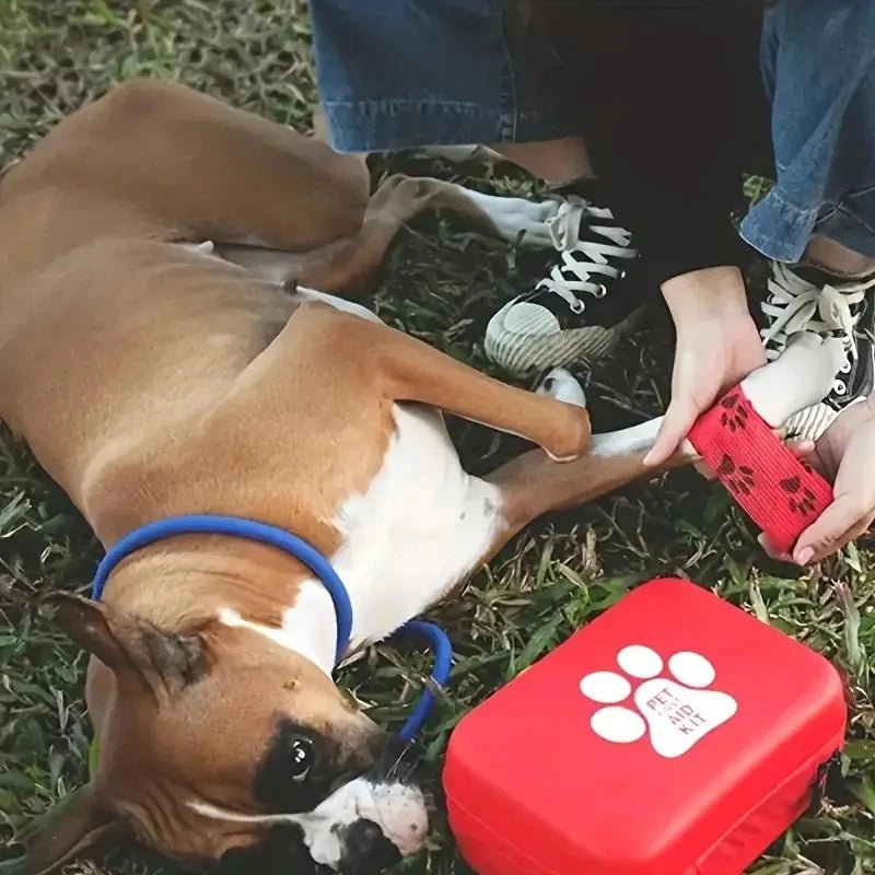 Compact First Aid Kit for Dogs and Cats – Essential Pet Care Supplies 2