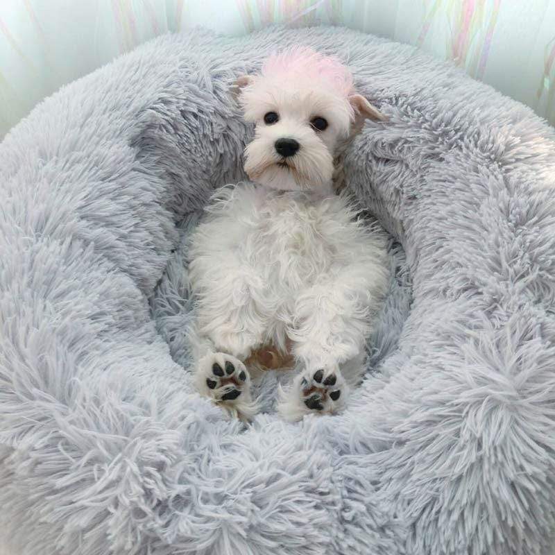 Cozy Dog Bed for Large Breeds – Machine Washable, Calming Design for Ultimate Comfort and Relaxation 3