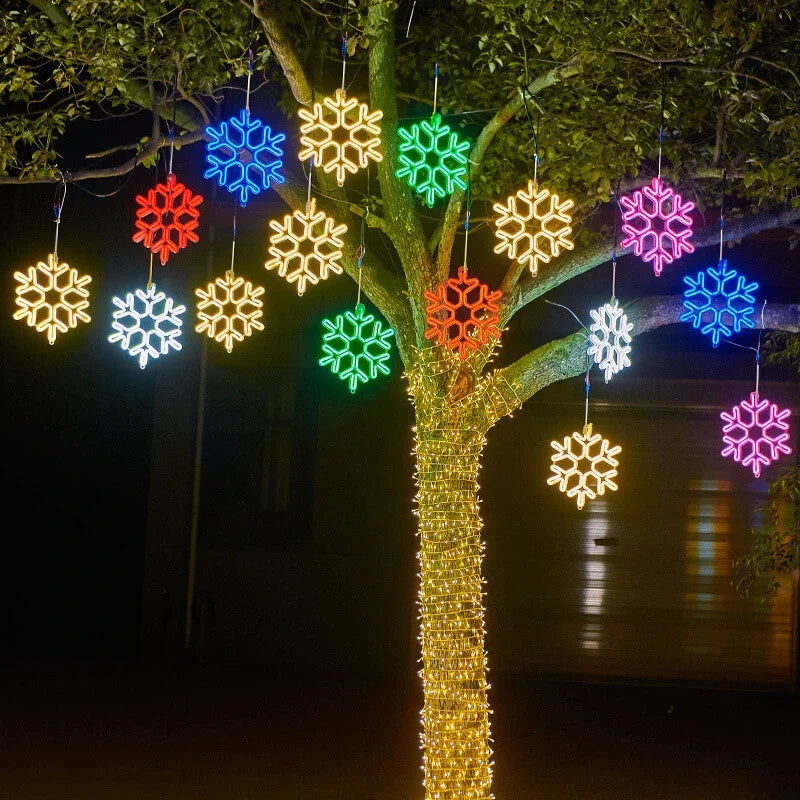 Colorful Winter Fairy String Lights