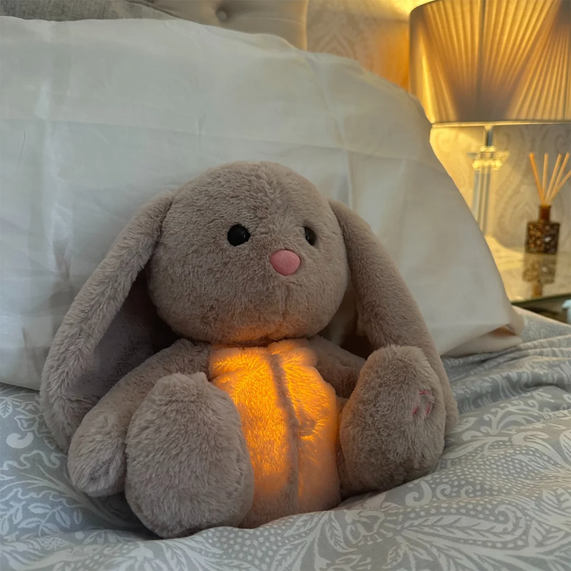 Snuggle Buddy Soft Teddy Bear Plush Toy - Lusomart