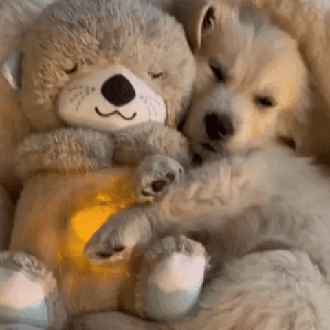 CuddleNest | Soft Cozy Calming Hug Plush Toy for Relaxation 4