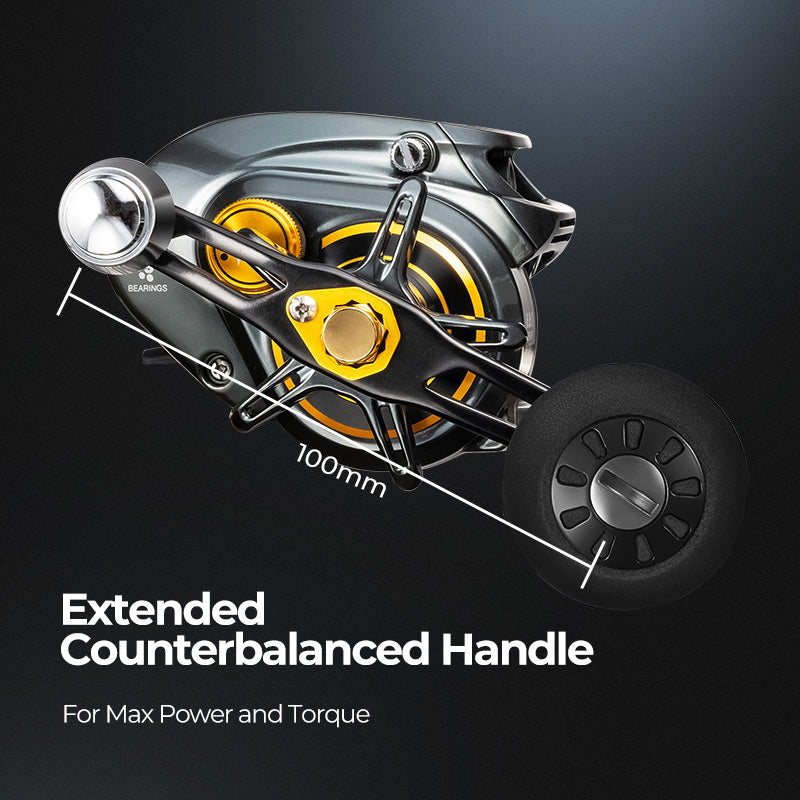 Compact Piscifun 300 Baitcast Fishing Reel