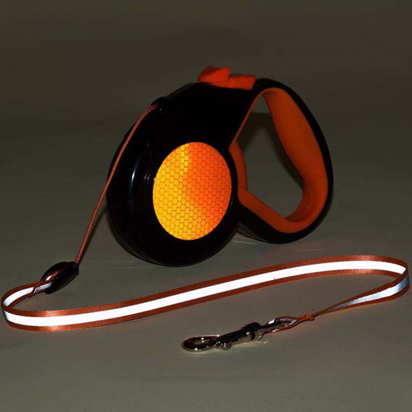 Visible Night Dog Leash for Safe Walking