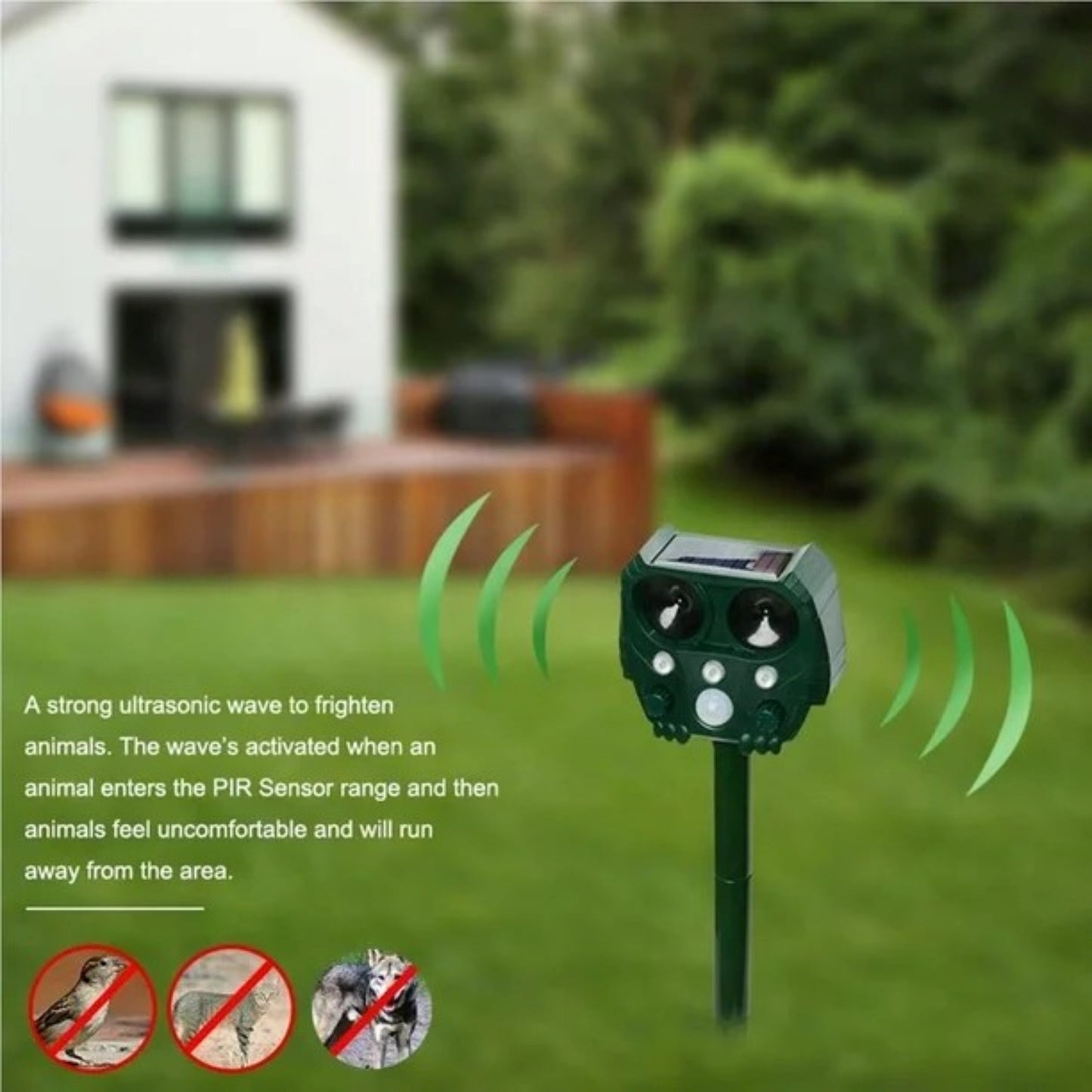 Outdoor Pest Repeller for Cats, Foxes and Birds