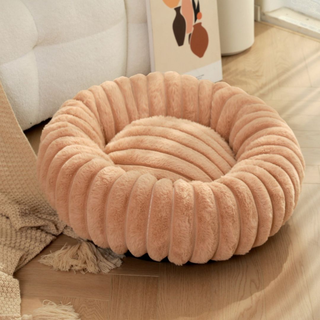Raised edge bolster dog bed with head and neck support for restful sleep