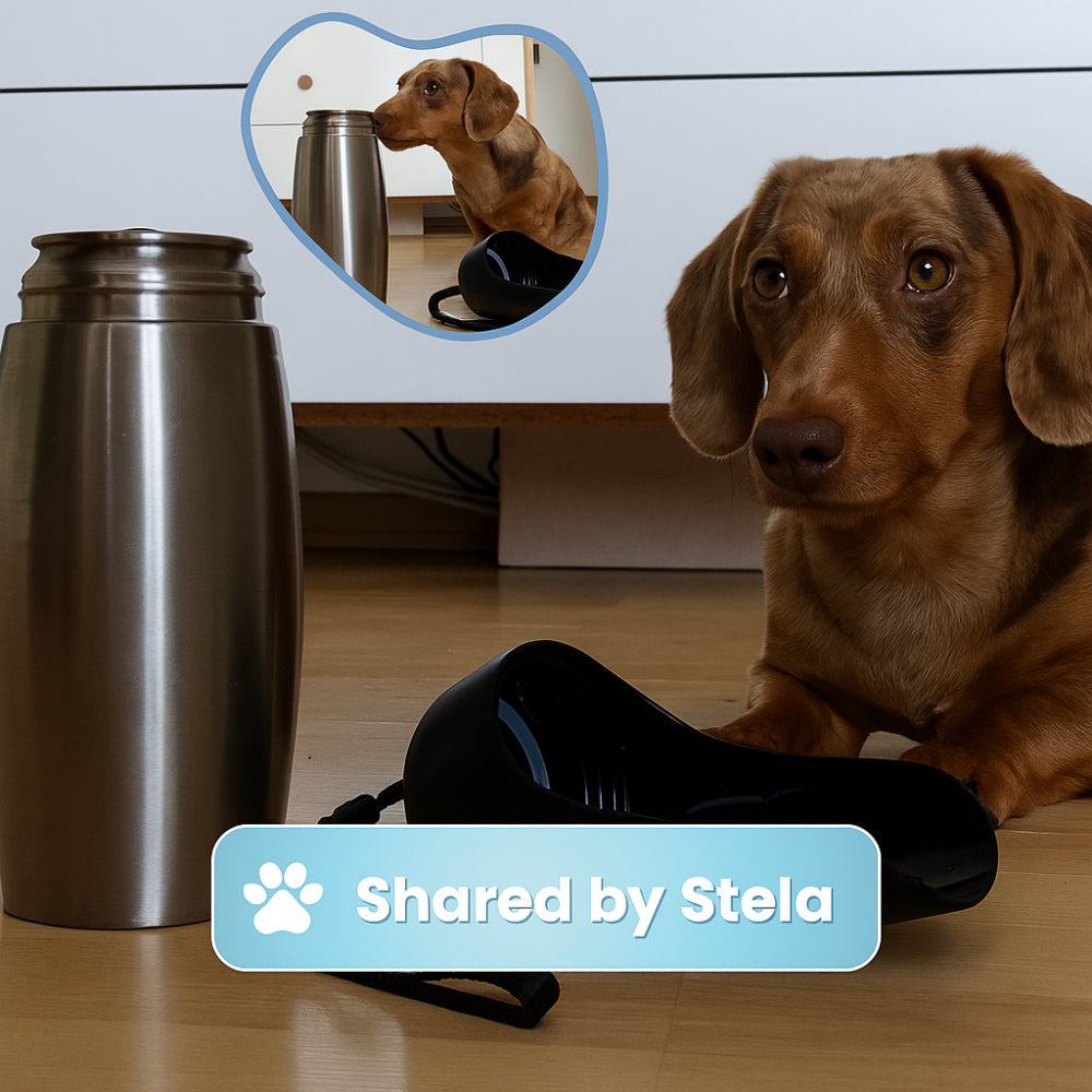 Portable Pet Water Bottle Stainless Steel Dog Cup