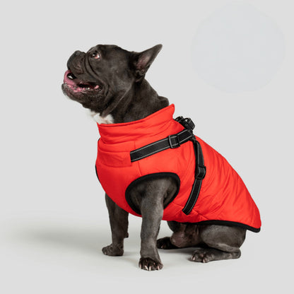 Warm Waterproof Dog Coat for Cold Weather