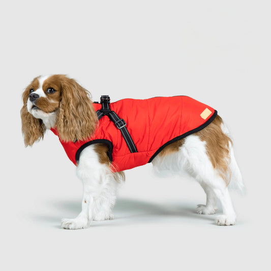 Warm Waterproof Dog Coat for Cold Weather - Lusomart