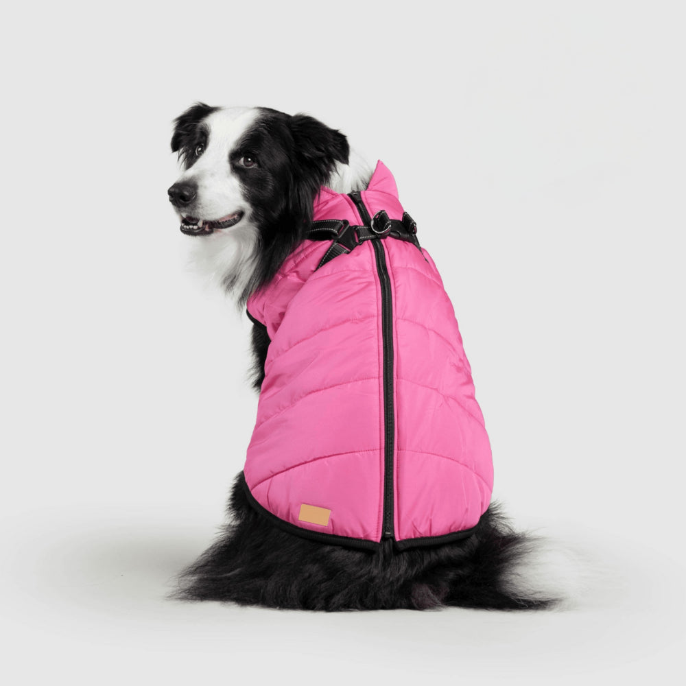 Warm Waterproof Dog Coat for Cold Weather