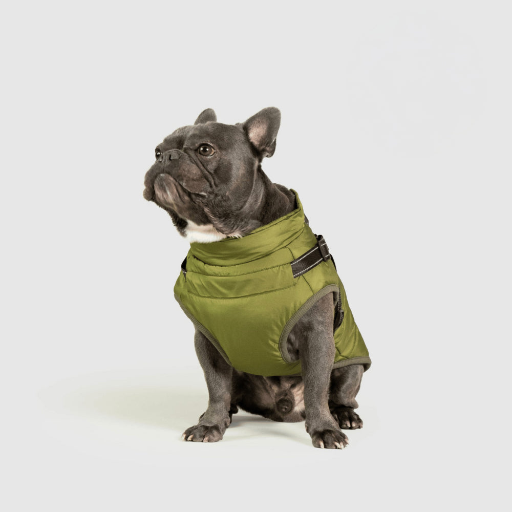 Warm Waterproof Dog Coat for Cold Weather