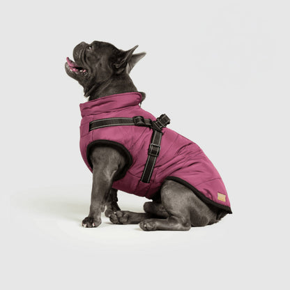 Warm Waterproof Dog Coat for Cold Weather