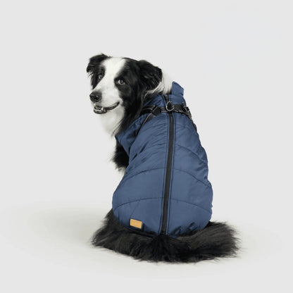 Warm Waterproof Dog Coat for Cold Weather