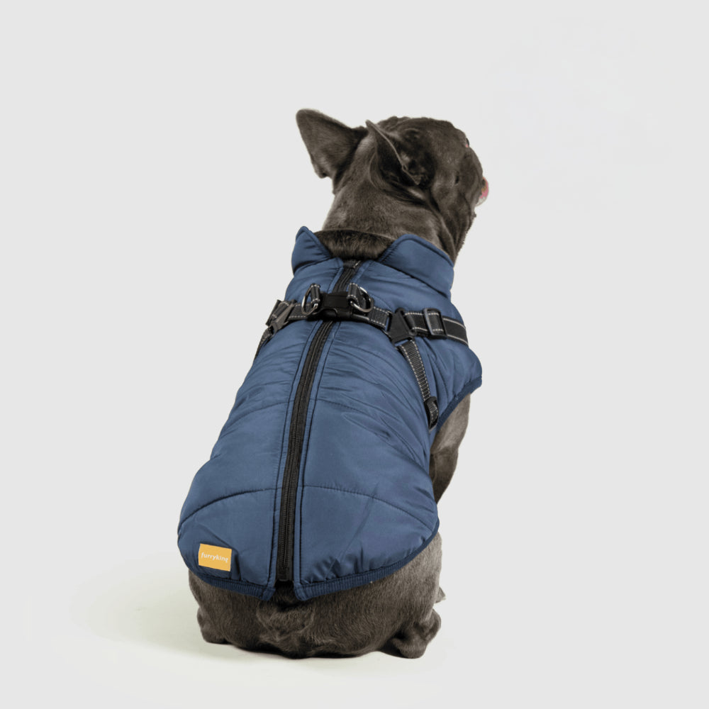 Warm Waterproof Dog Coat for Cold Weather