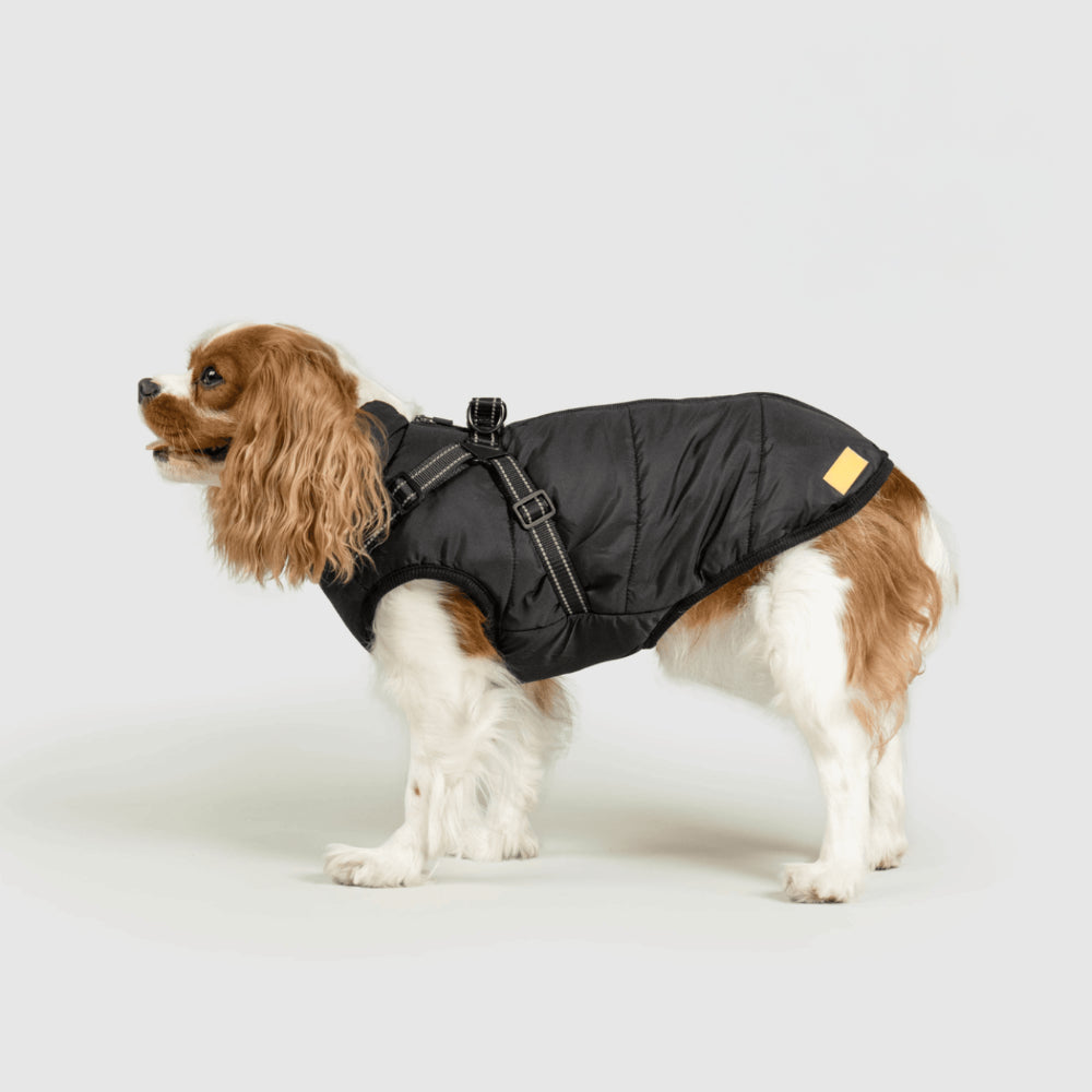 Warm Waterproof Dog Coat for Cold Weather
