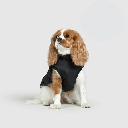 Warm Waterproof Dog Coat for Cold Weather