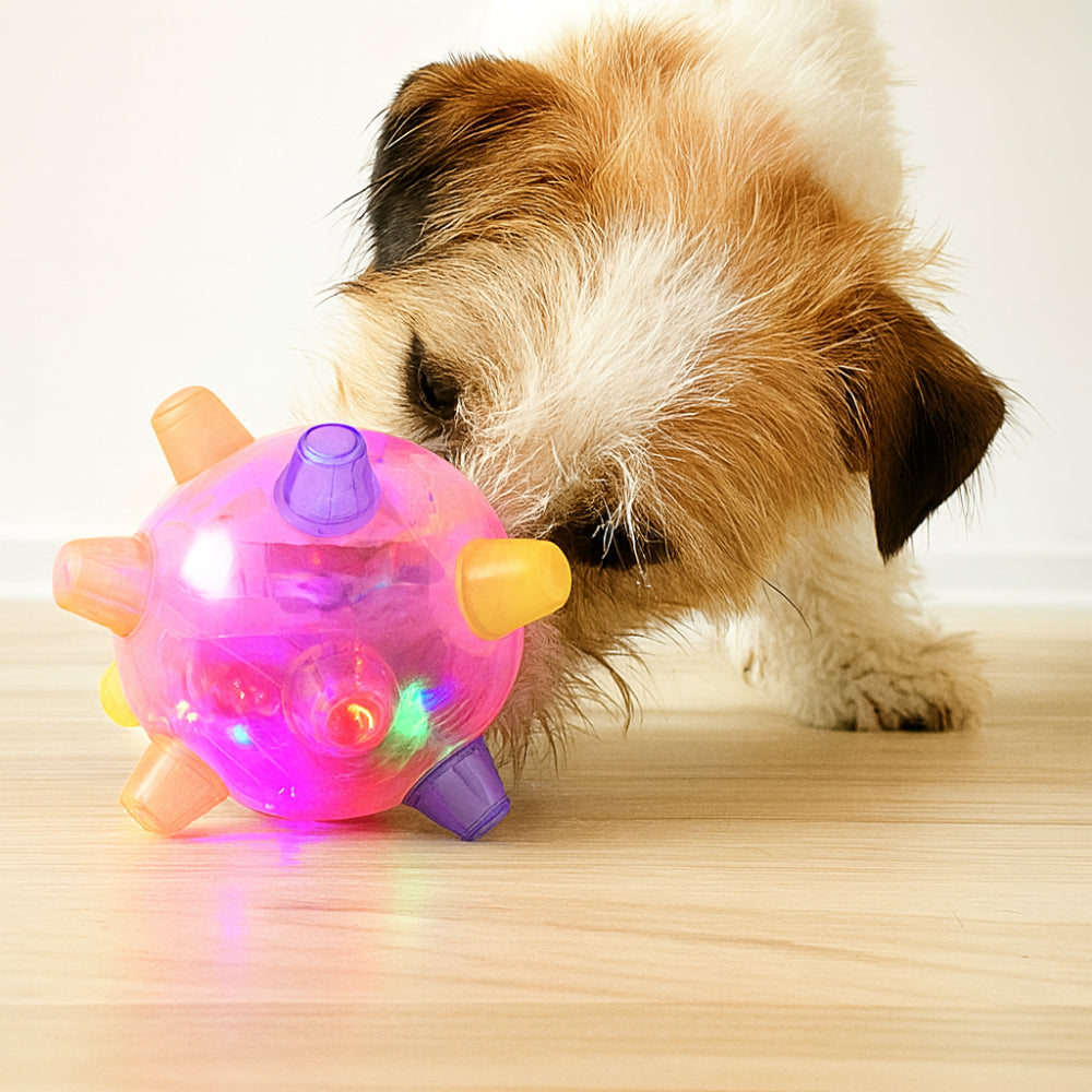 Fun LED Bouncing Dog Ball Toy - Lusomart