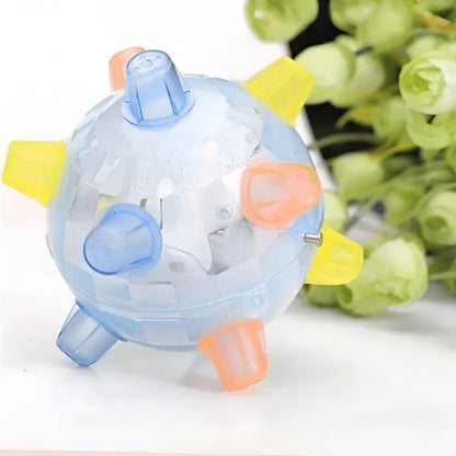 Fun LED Bouncing Dog Ball Toy