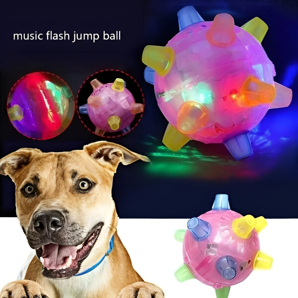 Fun LED Bouncing Dog Ball Toy