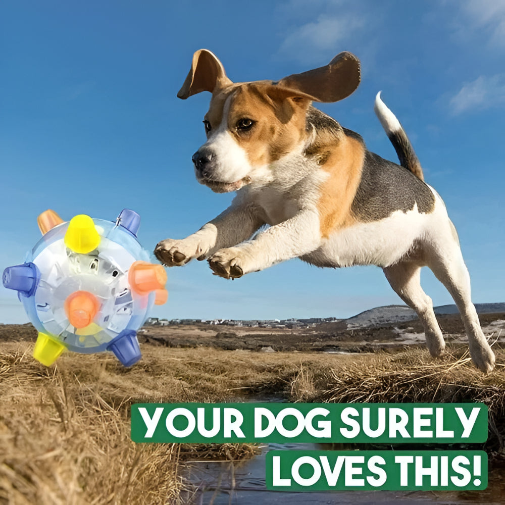 Fun LED Bouncing Dog Ball Toy