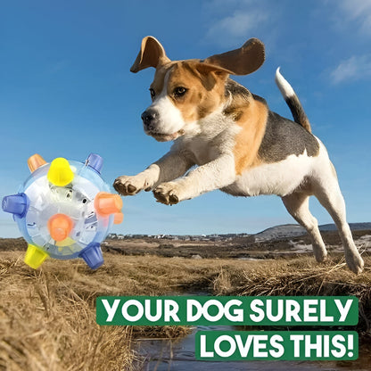 Fun LED Bouncing Dog Ball Toy