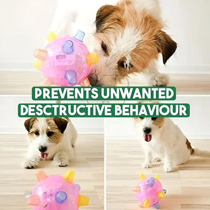 Fun LED Bouncing Dog Ball Toy