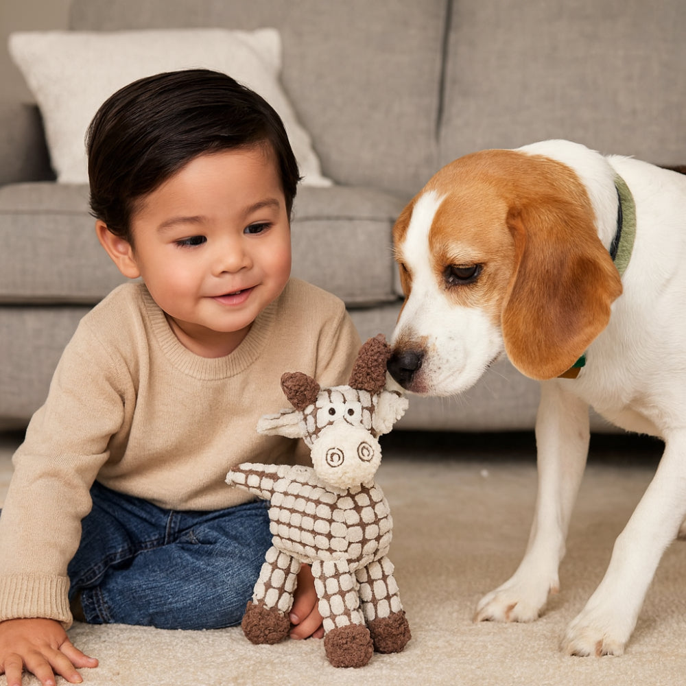 Fun Pet Rope Chew Squeaky Toy