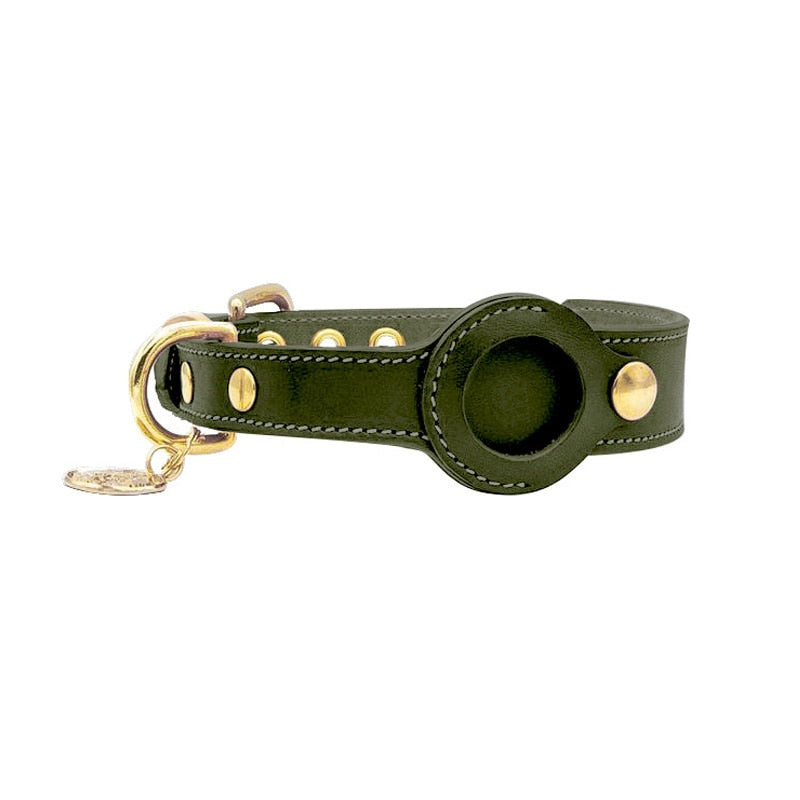 Dog Collar with Real-Time Apple AirTag Tracker – Durable, Comfortable Fit for All Breeds 1