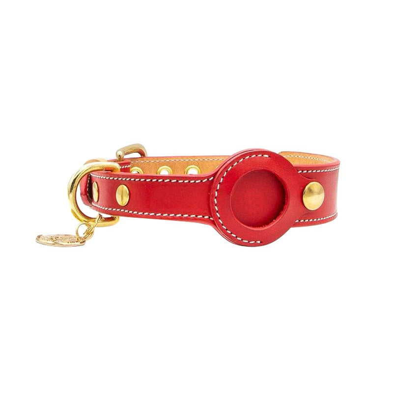 Dog Collar with Real-Time Apple AirTag Tracker – Durable, Comfortable Fit for All Breeds 2