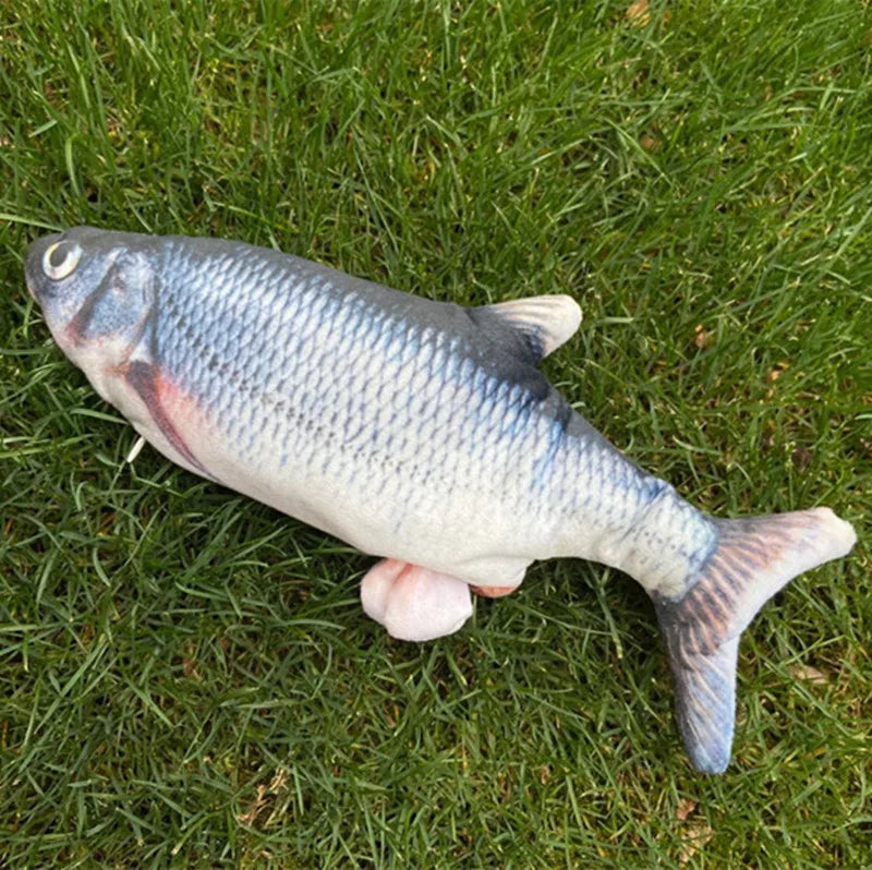 DreamFish - Sleep-friendly fish - Dreamfish 4