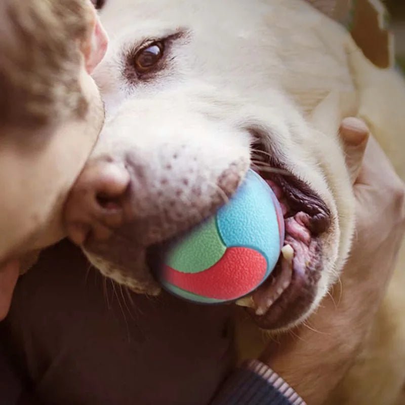 Durable Bite Resistant Dog Ball for Training and Teeth Cleaning – Colorful Rubber Toy 1