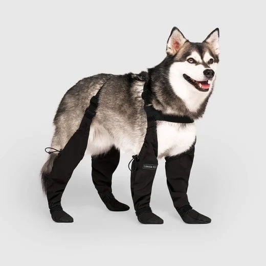 Waterproof Dog Shoes | Tough Outdoor Boots for Dogs - Lusomart