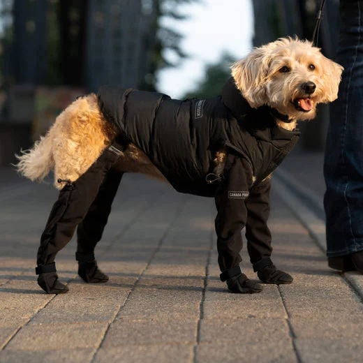 Durable Dog Boots for All Weather Protection – Waterproof Dog Shoes for Snow, Hiking, and Walking 3