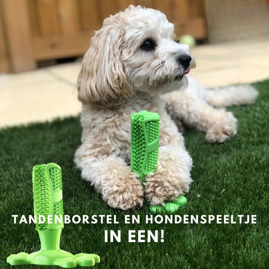 Pet Dental Care Rubber Toy Brush - Lusomart