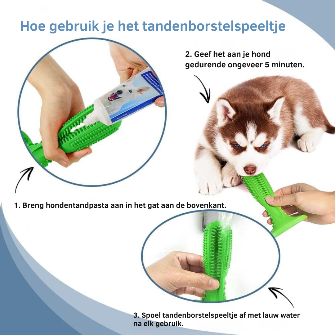 Durable Dog Toothbrush Toy – Tough Natural Rubber Chew Toy for Dental Health and Fresh Breath 3