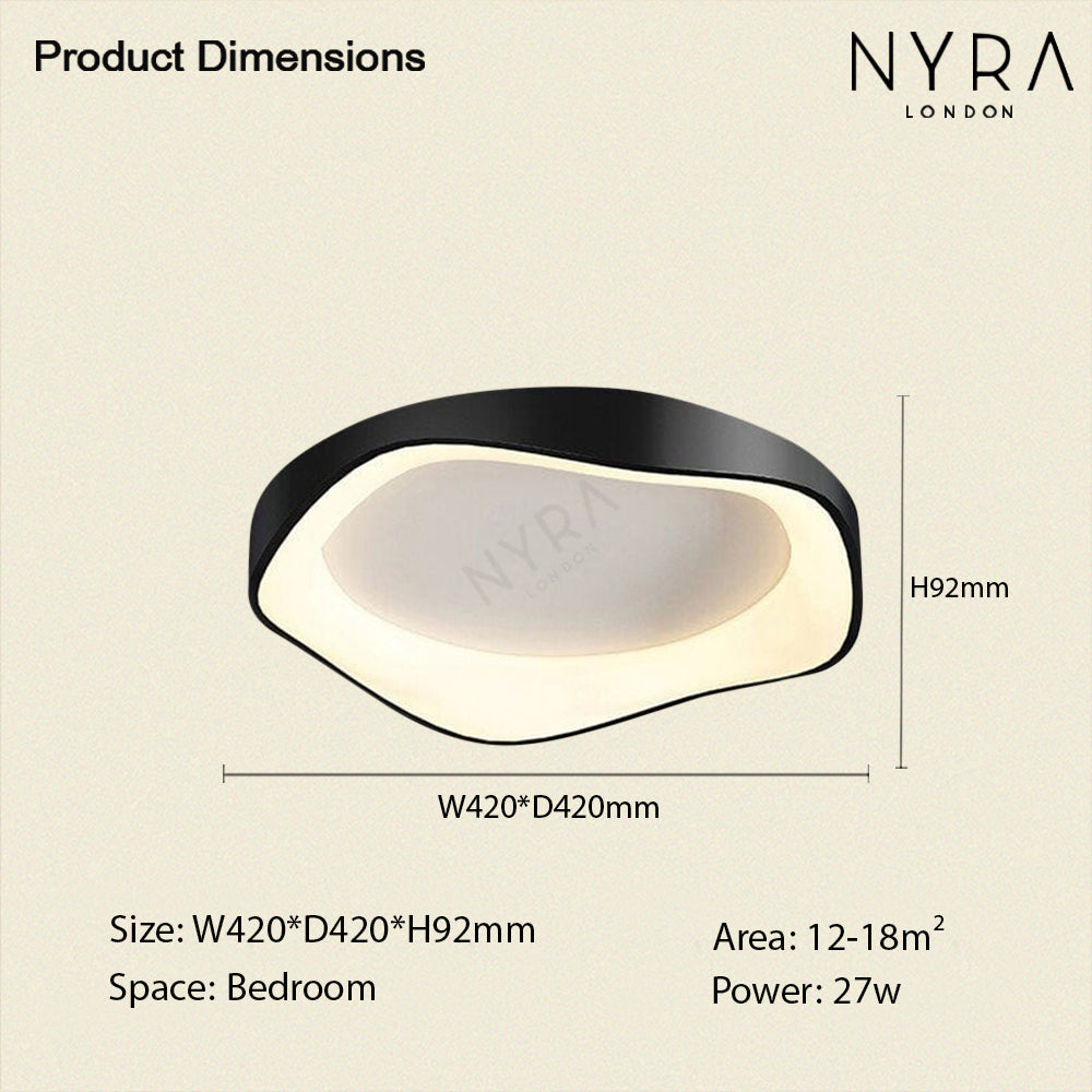 Modern LED Ceiling Wall Light