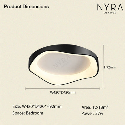 Modern LED Ceiling Wall Light